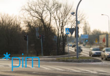 Wycinka drzew i krzewów